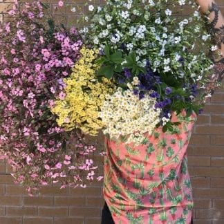 Bouquet de fleurs locales