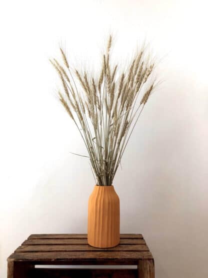 Bouquet d'Orge séché