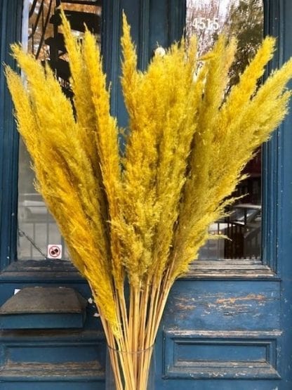 Herbe De Pampa Séchée - Bouquet Automne 127 Pièces - Décoration Mariage, Table - 45 Cm De Haut
