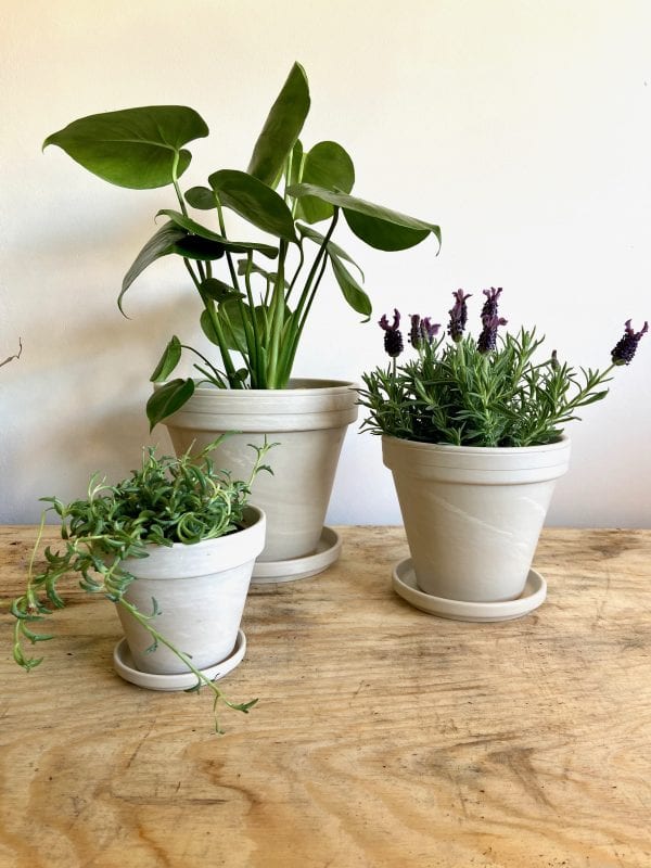 Pot Jardin Terre Cuite