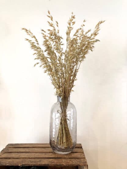Bouquet d’avoine séché