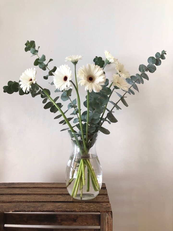 Bouquet de Germini Snoopy et Eucalyptus