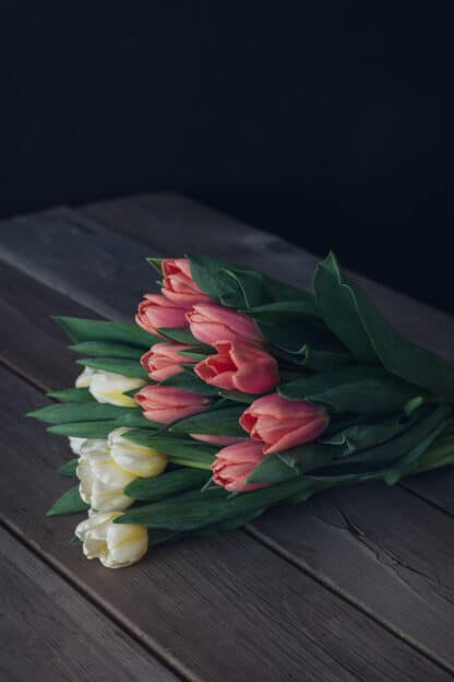 Tulips