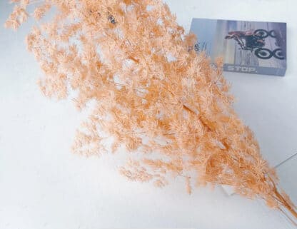 Asparagus preserved whitens - Image 5