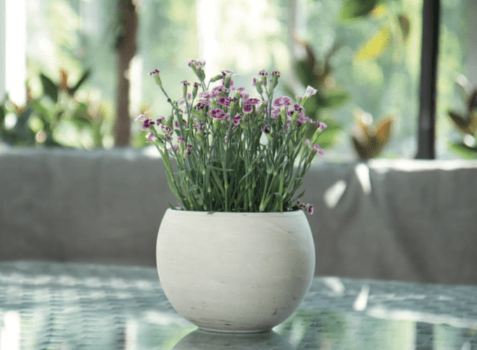 Pot de fleurs Terralia rond droit haut tendance Ø 49cm Blanc nacré