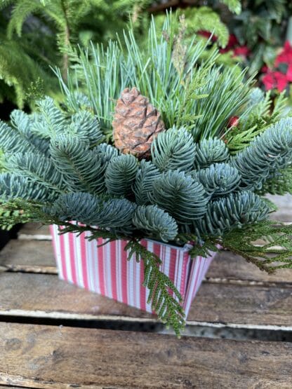 Christmas Centerpiece - Image 2