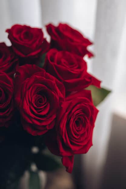 Bouquet de roses rouges Freedom – Image 2