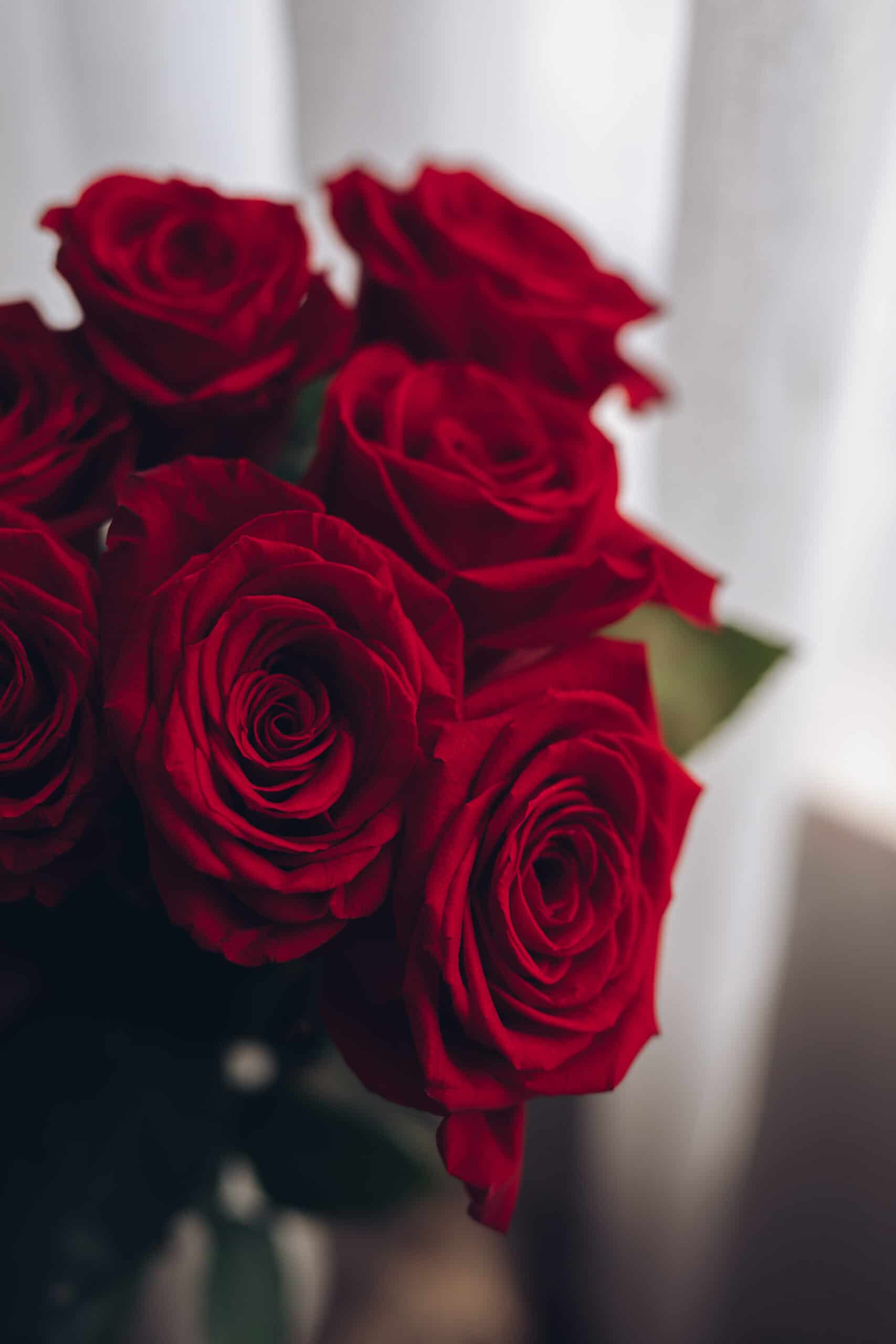 Freedom Red Rose Bouquet - Le jardin de Mathilde