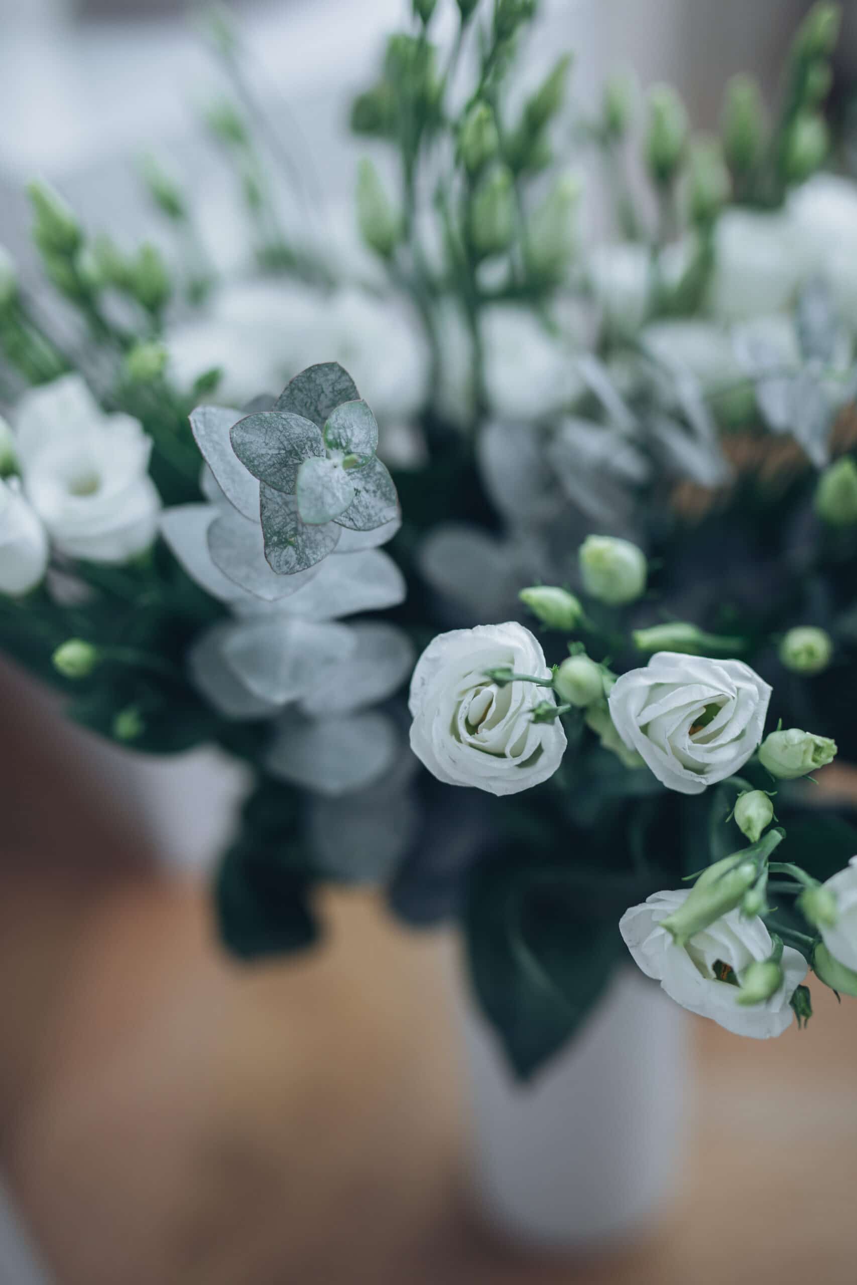 Lisianthus et eucalyptus