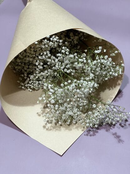 Gypsophile at the bunch - Image 2
