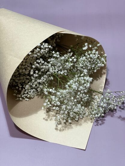 Gypsophile at the bunch