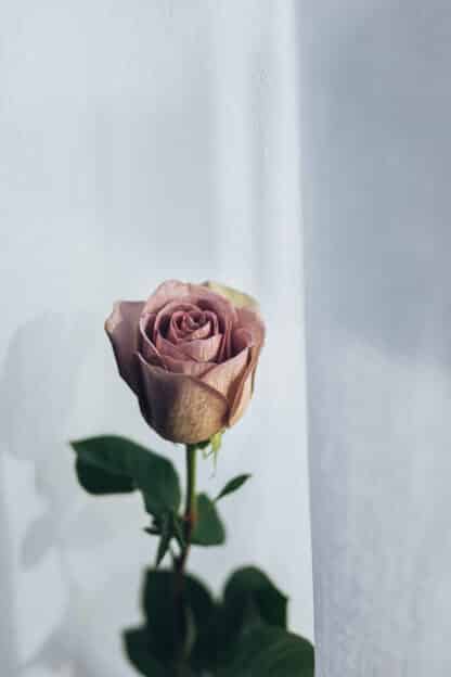 Bouquet de roses personnalisé