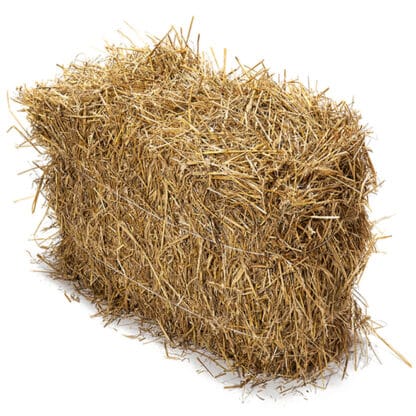 BALLE DE PAILLE