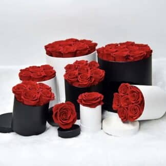 Boîte de roses préservées éternelles